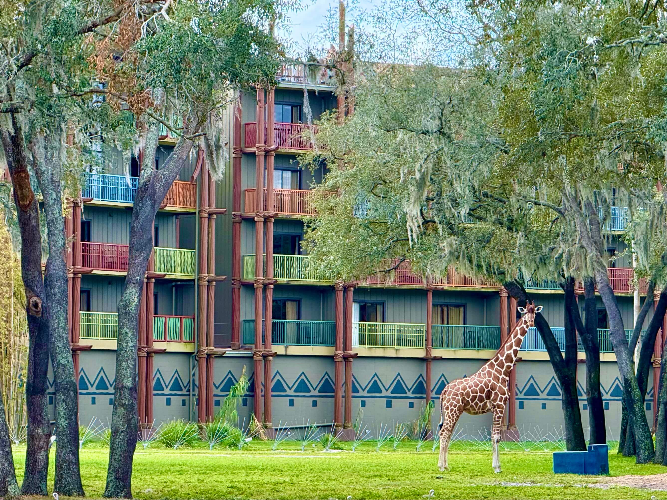 Animal Kingdom Lodge - Kidani