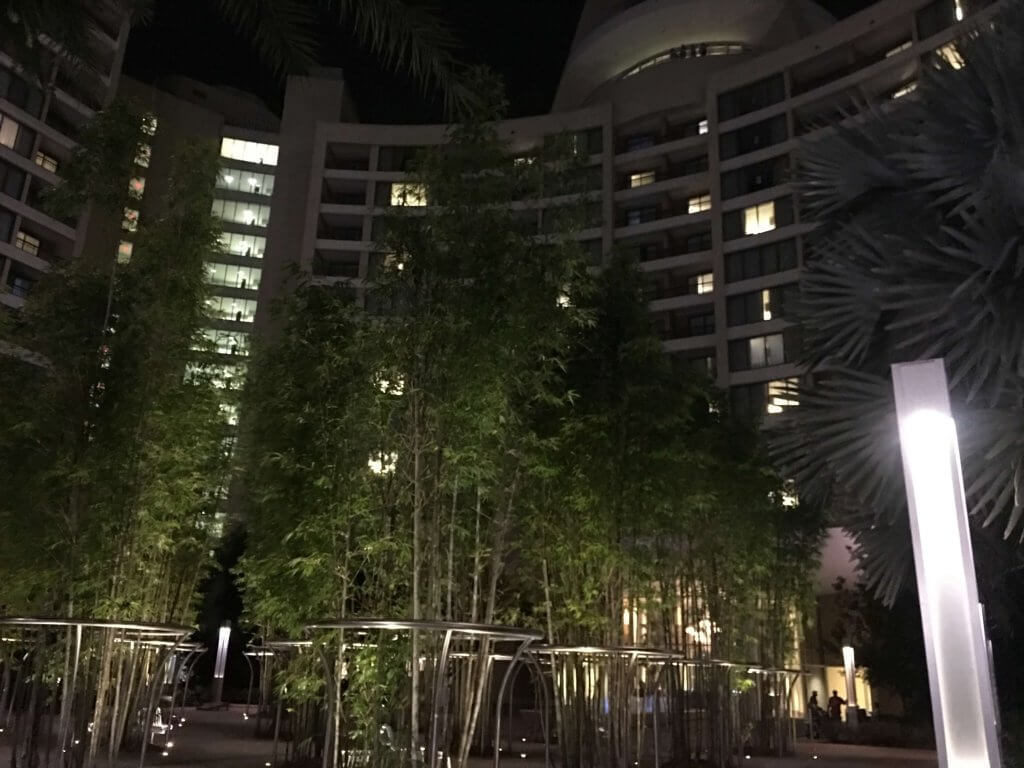 Bamboo grows tall at Bay Lake Tower