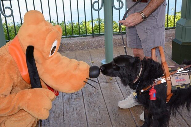 Pluto
