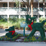 Disney's Hilton Head Resort