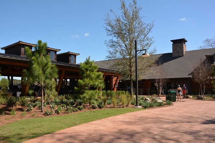 Geyser Point Bar & Grill at Disney World